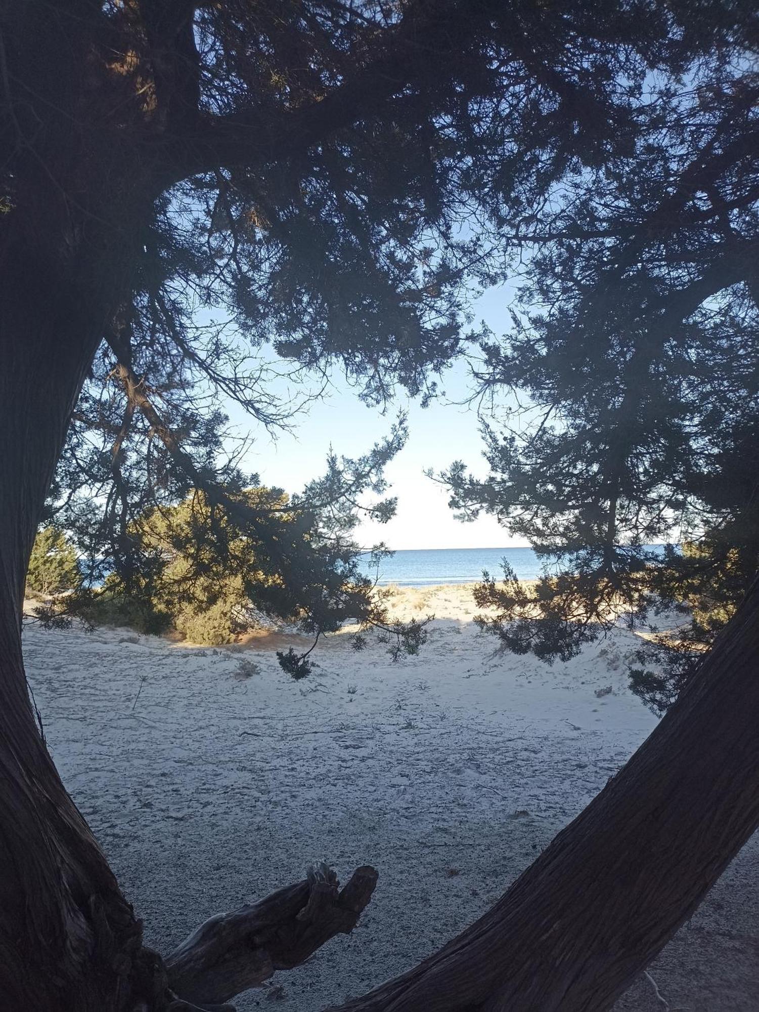 Sunflower House Siniscola Εξωτερικό φωτογραφία