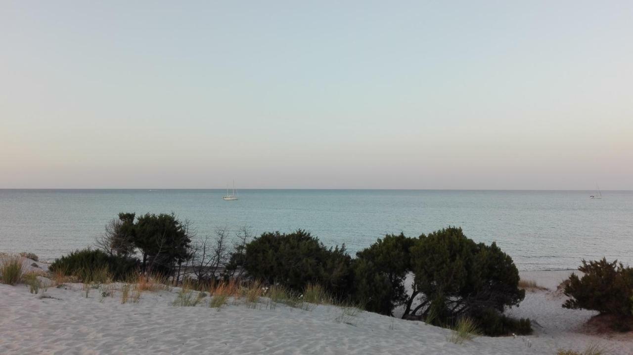 Sunflower House Siniscola Εξωτερικό φωτογραφία